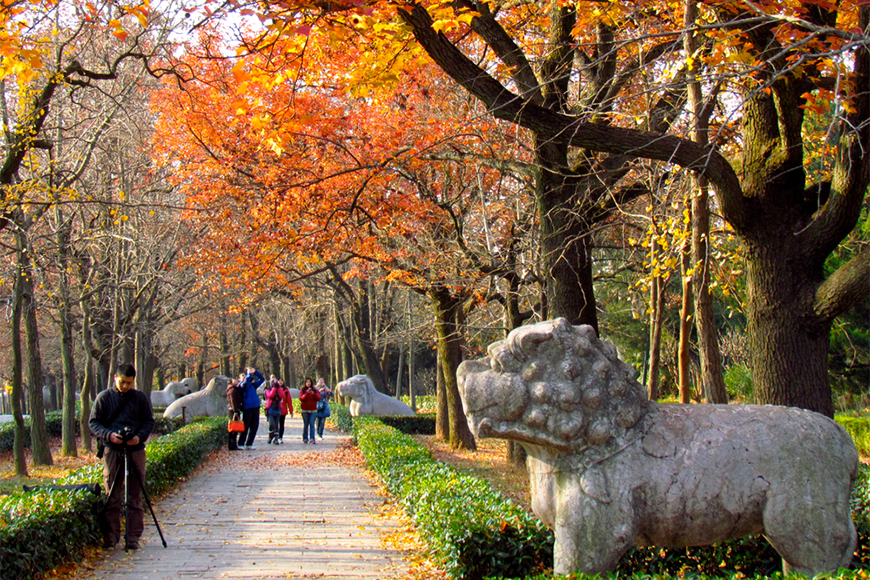 fall foliage in nanjing, china.