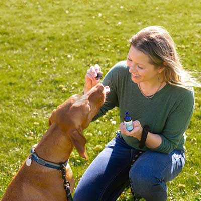 Woman giving her dog drops of Innovet PurCBD+
